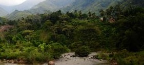 N-E India's famed biodiversity under threat due to mismanaged growth | N-E India's famed biodiversity under threat due to mismanaged growth N-E India's famed biodiversity under threat due to mismanaged growth | N-E India's famed biodiversity under threat due to mismanaged growth