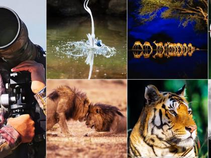 Thackeray to unveil first photo exhibit on top heart surgeon Dr Ramakanta Panda's 'wild-side' | Thackeray to unveil first photo exhibit on top heart surgeon Dr Ramakanta Panda's 'wild-side'