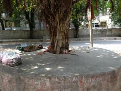 Delhi HC directs swift action on tree deconcretisation, seeks accountability from civic authorities | Delhi HC directs swift action on tree deconcretisation, seeks accountability from civic authorities Delhi HC directs swift action on tree deconcretisation, seeks accountability from civic authorities | Delhi HC directs swift action on tree deconcretisation, seeks accountability from civic authorities