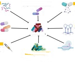 Investment in novel therapies key to tackle antimicrobial resistance: Report | Investment in novel therapies key to tackle antimicrobial resistance: Report Investment in novel therapies key to tackle antimicrobial resistance: Report | Investment in novel therapies key to tackle antimicrobial resistance: Report