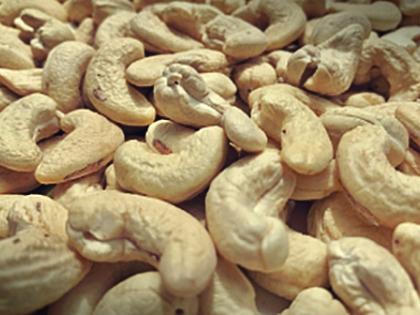 India's cashew nuts head for US, B'desh, Qatar as new markets open | India's cashew nuts head for US, B'desh, Qatar as new markets open India's cashew nuts head for US, B'desh, Qatar as new markets open | India's cashew nuts head for US, B'desh, Qatar as new markets open