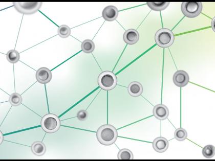 AI can better recognise tempo, stages of embryonic development | AI can better recognise tempo, stages of embryonic development AI can better recognise tempo, stages of embryonic development | AI can better recognise tempo, stages of embryonic development