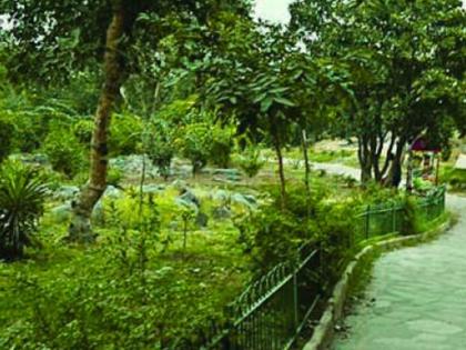 Delhi HC displeased over trail construction in Central Ridge, warns against treating it as 'personal fiefdom' | Delhi HC displeased over trail construction in Central Ridge, warns against treating it as 'personal fiefdom' Delhi HC displeased over trail construction in Central Ridge, warns against treating it as 'personal fiefdom' | Delhi HC displeased over trail construction in Central Ridge, warns against treating it as 'personal fiefdom'