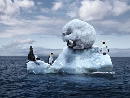 2023 has shattered climate records: WMO | 2023 has shattered climate records: WMO 2023 has shattered climate records: WMO | 2023 has shattered climate records: WMO