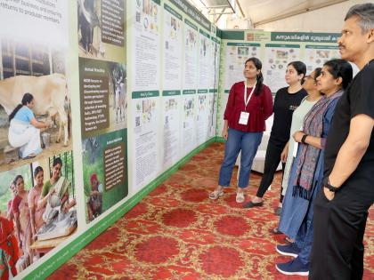 Healthier cows can prevent humans from contracting diseases: NDBB Deputy Director | Healthier cows can prevent humans from contracting diseases: NDBB Deputy Director Healthier cows can prevent humans from contracting diseases: NDBB Deputy Director | Healthier cows can prevent humans from contracting diseases: NDBB Deputy Director