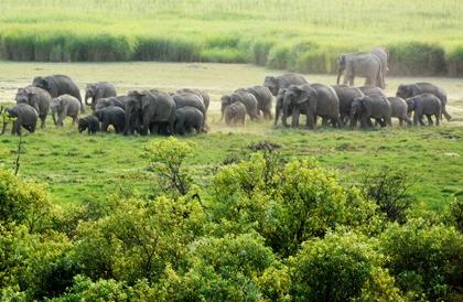 UP to be showcased as ecotourism destination | UP to be showcased as ecotourism destination UP to be showcased as ecotourism destination | UP to be showcased as ecotourism destination