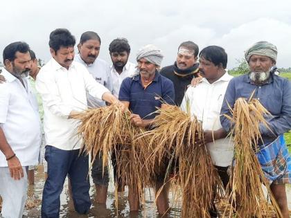 Cyclone causes extensive damage to crops in Andhra Pradesh | Cyclone causes extensive damage to crops in Andhra Pradesh Cyclone causes extensive damage to crops in Andhra Pradesh | Cyclone causes extensive damage to crops in Andhra Pradesh