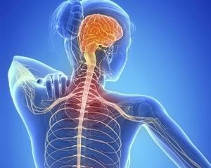 Climate change to drive multiple sclerosis cases, fuel treatment market: Report | Climate change to drive multiple sclerosis cases, fuel treatment market: Report Climate change to drive multiple sclerosis cases, fuel treatment market: Report | Climate change to drive multiple sclerosis cases, fuel treatment market: Report