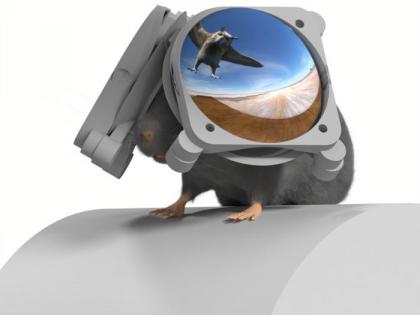 Immersive VR goggles for mice unlock new brain research potential | Immersive VR goggles for mice unlock new brain research potential Immersive VR goggles for mice unlock new brain research potential | Immersive VR goggles for mice unlock new brain research potential