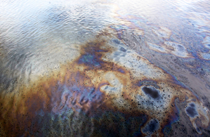 NIT Rourkela develops eco-friendly biofilm to mitigate impact of industrial oil spills, chemical waste | NIT Rourkela develops eco-friendly biofilm to mitigate impact of industrial oil spills, chemical waste