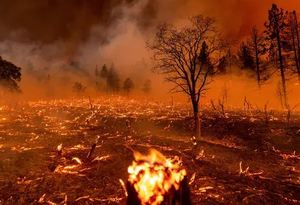 Wildfire prompts emergency alert for two communities in Canada | Wildfire prompts emergency alert for two communities in Canada Wildfire prompts emergency alert for two communities in Canada | Wildfire prompts emergency alert for two communities in Canada