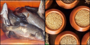 Kerala: CMFRI bats for millet-fish combo | Kerala: CMFRI bats for millet-fish combo Kerala: CMFRI bats for millet-fish combo | Kerala: CMFRI bats for millet-fish combo