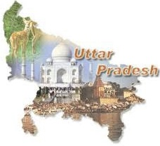 UP has new classification system for hospitality industry | UP has new classification system for hospitality industry