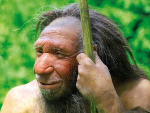 Neanderthal DNA may be making you a morning person: Study | Neanderthal DNA may be making you a morning person: Study Neanderthal DNA may be making you a morning person: Study | Neanderthal DNA may be making you a morning person: Study