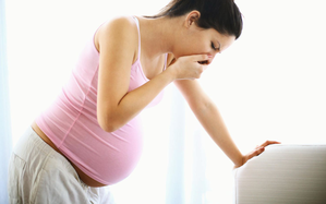 Scientists find hormone behind severe morning sickness | Scientists find hormone behind severe morning sickness Scientists find hormone behind severe morning sickness | Scientists find hormone behind severe morning sickness