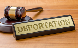 Punjabi truck driver, who killed 16, set to be deported to India from Canada | Punjabi truck driver, who killed 16, set to be deported to India from Canada Punjabi truck driver, who killed 16, set to be deported to India from Canada | Punjabi truck driver, who killed 16, set to be deported to India from Canada