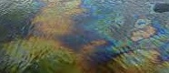 TN expedites Chennai’s Ennore Creek oil spill clearance amid looming deadline | TN expedites Chennai’s Ennore Creek oil spill clearance amid looming deadline