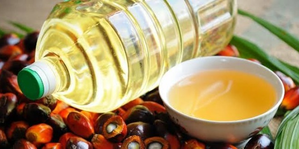 Focus on oil palm cultivation to reduce dependence on imports worth Rs 40K crore | Focus on oil palm cultivation to reduce dependence on imports worth Rs 40K crore Focus on oil palm cultivation to reduce dependence on imports worth Rs 40K crore | Focus on oil palm cultivation to reduce dependence on imports worth Rs 40K crore