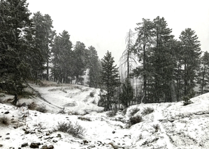 Night temperatures across Kashmir drop notches below freezing point | Night temperatures across Kashmir drop notches below freezing point Night temperatures across Kashmir drop notches below freezing point | Night temperatures across Kashmir drop notches below freezing point