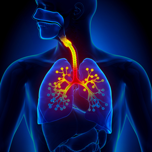 COPD, asthma to drive India’s critical care ventilator market: Report | COPD, asthma to drive India’s critical care ventilator market: Report COPD, asthma to drive India’s critical care ventilator market: Report | COPD, asthma to drive India’s critical care ventilator market: Report