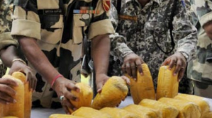 SSB seized 144.5 kg narcotics on India-Nepal border in 2023 | SSB seized 144.5 kg narcotics on India-Nepal border in 2023 SSB seized 144.5 kg narcotics on India-Nepal border in 2023 | SSB seized 144.5 kg narcotics on India-Nepal border in 2023