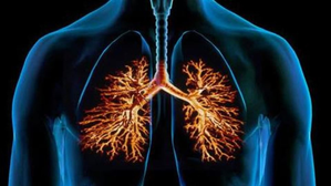 Delhi taking proactive measures amid surge in respiratory illness cases | Delhi taking proactive measures amid surge in respiratory illness cases Delhi taking proactive measures amid surge in respiratory illness cases | Delhi taking proactive measures amid surge in respiratory illness cases