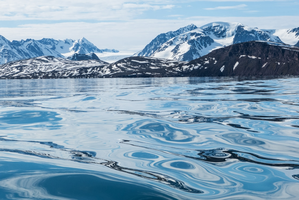 Warming Arctic waters are emitting carbon: NASA study | Warming Arctic waters are emitting carbon: NASA study