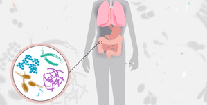 Study finds stomach bug linked to Alzheimer’s disease risk | Study finds stomach bug linked to Alzheimer’s disease risk Study finds stomach bug linked to Alzheimer’s disease risk | Study finds stomach bug linked to Alzheimer’s disease risk