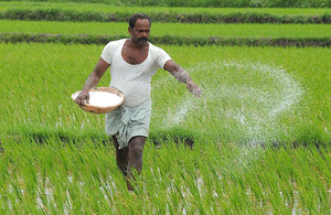 Climate change casts a shadow on agriculture; growth rate dips to worryingly low | Climate change casts a shadow on agriculture; growth rate dips to worryingly low Climate change casts a shadow on agriculture; growth rate dips to worryingly low | Climate change casts a shadow on agriculture; growth rate dips to worryingly low