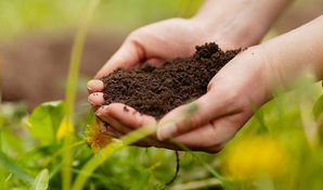 Laos plans to boost sustainable agriculture | Laos plans to boost sustainable agriculture