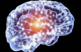 Study decodes how human brain plans before speaking | Study decodes how human brain plans before speaking Study decodes how human brain plans before speaking | Study decodes how human brain plans before speaking