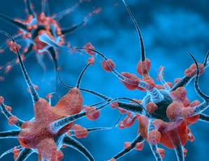 Indian scientists develop AI tool for nerve disorders in hand, forearm | Indian scientists develop AI tool for nerve disorders in hand, forearm Indian scientists develop AI tool for nerve disorders in hand, forearm | Indian scientists develop AI tool for nerve disorders in hand, forearm