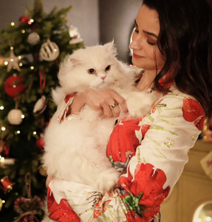 Alia Bhatt’s ‘purrfect’ Christmas wish includes her pet cat Edward | Alia Bhatt’s ‘purrfect’ Christmas wish includes her pet cat Edward