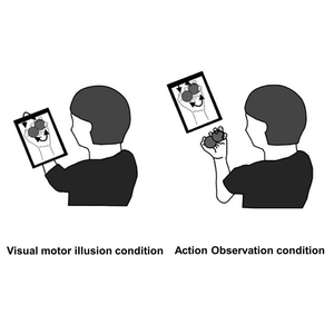 Power of illusion can help learn new movements: Study | Power of illusion can help learn new movements: Study Power of illusion can help learn new movements: Study | Power of illusion can help learn new movements: Study