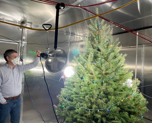 Live Christmas trees affect indoor air chemistry: Researchers | Live Christmas trees affect indoor air chemistry: Researchers Live Christmas trees affect indoor air chemistry: Researchers | Live Christmas trees affect indoor air chemistry: Researchers