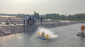 Shrimp farms in Andhra district raking in Rs 10,000 cr a year through exports | Shrimp farms in Andhra district raking in Rs 10,000 cr a year through exports Shrimp farms in Andhra district raking in Rs 10,000 cr a year through exports | Shrimp farms in Andhra district raking in Rs 10,000 cr a year through exports