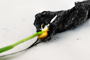 New 'electronic soil' may enhance crop growth | New 'electronic soil' may enhance crop growth New 'electronic soil' may enhance crop growth | New 'electronic soil' may enhance crop growth