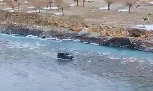 Motorist who drove SUV through river in Himachal to evade jam fined | Motorist who drove SUV through river in Himachal to evade jam fined Motorist who drove SUV through river in Himachal to evade jam fined | Motorist who drove SUV through river in Himachal to evade jam fined