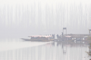 Morning fog adds to intense cold in J&K's Srinagar | Morning fog adds to intense cold in J&K's Srinagar