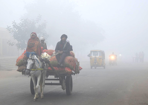 NHAI steps up safety drive on highways as fog cuts visibility | NHAI steps up safety drive on highways as fog cuts visibility