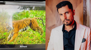 Randeep Hooda shares pic of tigress with snare stuck to belly, seeks help of U'khand CM | Randeep Hooda shares pic of tigress with snare stuck to belly, seeks help of U'khand CM Randeep Hooda shares pic of tigress with snare stuck to belly, seeks help of U'khand CM | Randeep Hooda shares pic of tigress with snare stuck to belly, seeks help of U'khand CM
