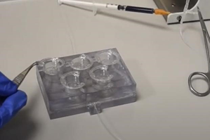 New 3D-printed chip to mimic effect of drug on body, end animal tests | New 3D-printed chip to mimic effect of drug on body, end animal tests New 3D-printed chip to mimic effect of drug on body, end animal tests | New 3D-printed chip to mimic effect of drug on body, end animal tests