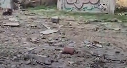 IDF discover explosives in children's playground in Gaza | IDF discover explosives in children's playground in Gaza IDF discover explosives in children's playground in Gaza | IDF discover explosives in children's playground in Gaza