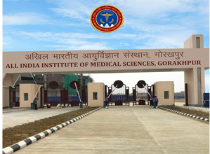 Gorakhpur AIIMS head removed for misuse of office | Gorakhpur AIIMS head removed for misuse of office Gorakhpur AIIMS head removed for misuse of office | Gorakhpur AIIMS head removed for misuse of office