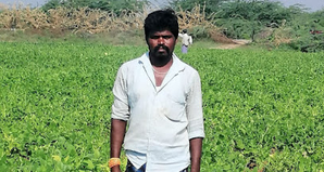 Chilli leaves a bad taste as losses mount for cultivators in Andhra Pradesh's Bandur | Chilli leaves a bad taste as losses mount for cultivators in Andhra Pradesh's Bandur