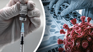 Scientists find compound to fight against Covid infection | Scientists find compound to fight against Covid infection Scientists find compound to fight against Covid infection | Scientists find compound to fight against Covid infection