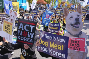 S.Korean Parliament passes bill banning dog meat consumption | S.Korean Parliament passes bill banning dog meat consumption S.Korean Parliament passes bill banning dog meat consumption | S.Korean Parliament passes bill banning dog meat consumption