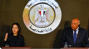 Egyptian FM reiterates rejection of attempts to displace Palestinians | Egyptian FM reiterates rejection of attempts to displace Palestinians