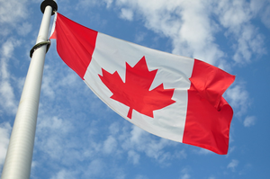 Cutting off foreign students, temporary workers will hit Canadian economy: Report | Cutting off foreign students, temporary workers will hit Canadian economy: Report