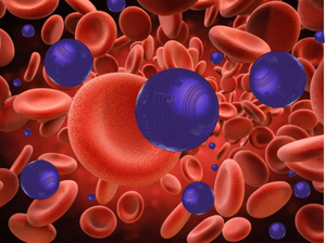 Nanorobots can shrink bladder tumours by 90%, shows study | Nanorobots can shrink bladder tumours by 90%, shows study Nanorobots can shrink bladder tumours by 90%, shows study | Nanorobots can shrink bladder tumours by 90%, shows study